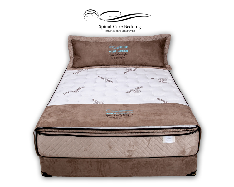 Cynthia Pillow Top – Spinal Care Bedding